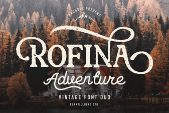 Discover the Creative Versatility of Rofina Font